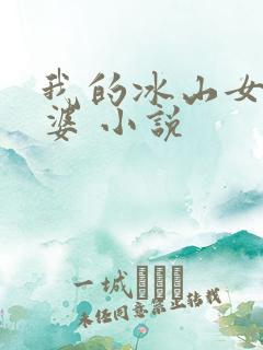 我的冰山女神老婆 小说