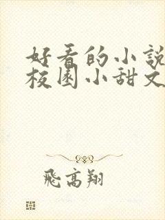 好看的小说言情校园小甜文
