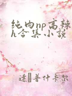 纯肉np高辣文h合集小说