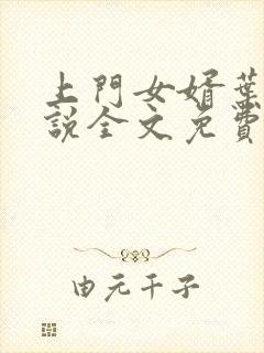 上门女婿叶辰小说全文免费阅读在线