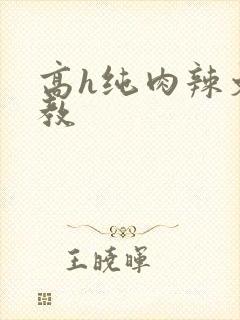 高h纯肉辣文调教