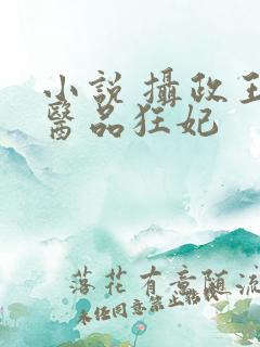 小说 摄政王的医品狂妃