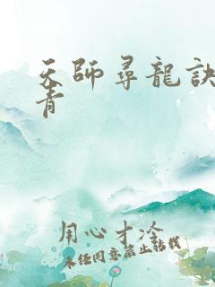 天师寻龙诀皮剑青