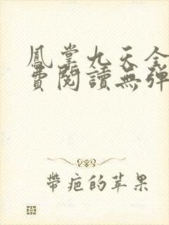 凤掌九天全文免费阅读无弹窗