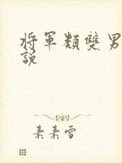 将军类双男主小说