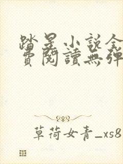 踏星小说全文免费阅读无弹窗