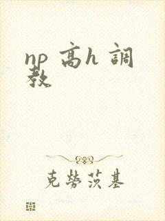 np 高h 调教