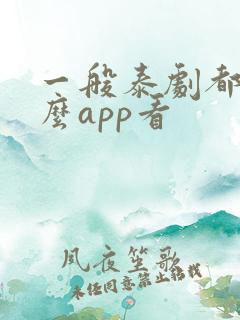 一般泰剧都用什么app看