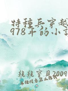 特种兵穿越回1978年的小说