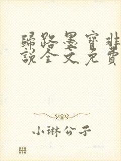 归路墨宝非宝小说全文免费阅读最新