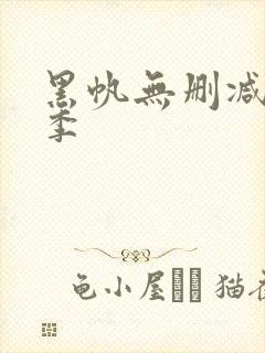 黑帆无删减第二季