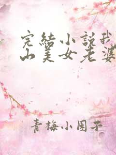 完结小说我的冰山美女老婆