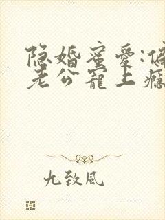 隐婚蜜爱:偏执老公宠上瘾小说