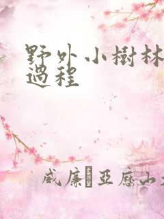野外小树林野战过程