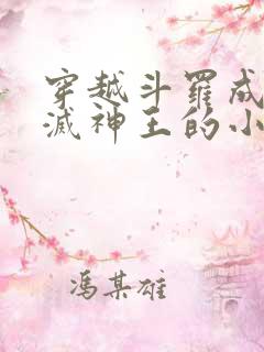 穿越斗罗成为毁灭神王的小说