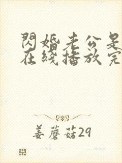 闪婚老公是豪门在线播放完整短剧
