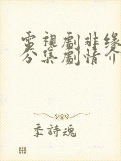 电视剧非缘勿扰分集剧情介绍