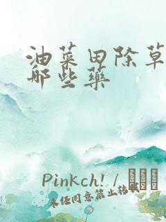 油菜田除草剂有哪些药