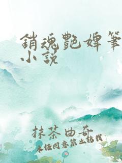 销魂艳婢笔趣阁小说