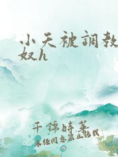 小夭被调教成肉奴h