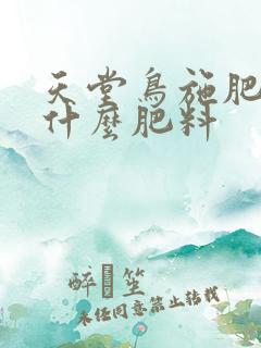 天堂鸟施肥需施什么肥料