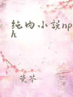 纯肉小说np高h