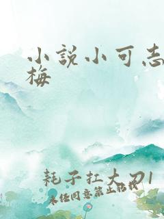 小说小可志强阿梅