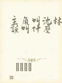 主角叫沈林的小说叫什么