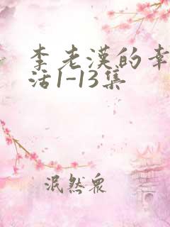 李老汉的幸福生活1-13集
