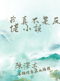 我真不是反派大佬 小说