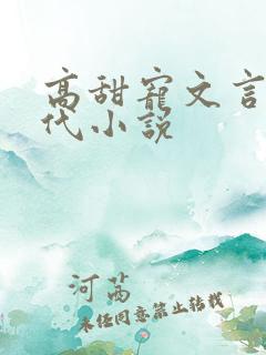 高甜宠文言情现代小说