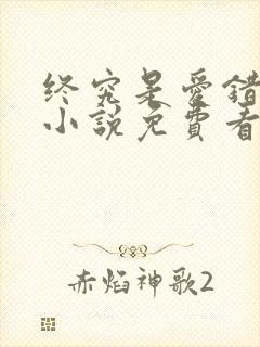 终究是爱错了你小说免费看