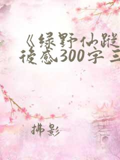 《绿野仙踪》读后感300字三年级