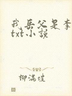 我岳父是李世民txt小说
