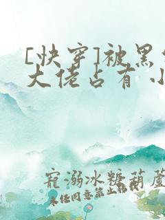 [快穿]被黑化大佬占有 小说