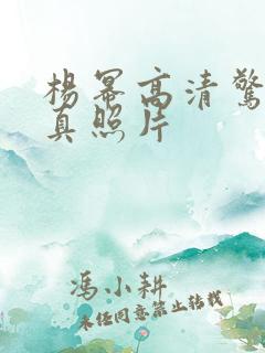 杨幂高清惊艳写真照片