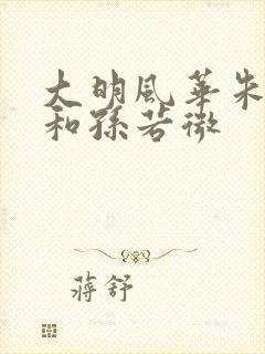 大明风华朱瞻基和孙若微
