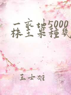 一亩地5000株玉米种几寸