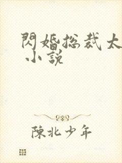 闪婚总裁太霸道 小说
