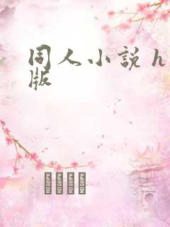 同人小说 h 版