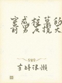 穿成校草的炮灰前男友揽天星免费