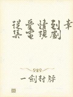 从爱情到幸福全集电视剧