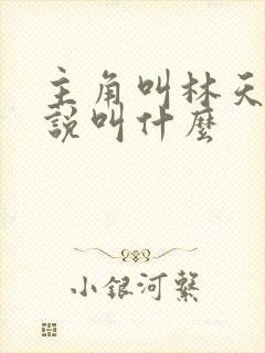 主角叫林天的小说叫什么