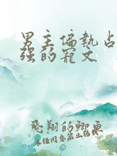 男主偏执占有欲强的宠文