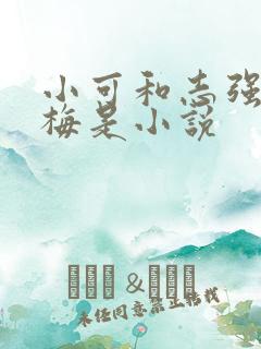小可和志强和阿梅是小说