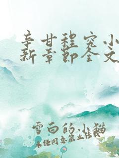 辛甘程究小说最新章节全文免费阅读