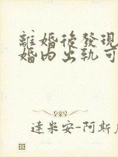 离婚后发现对方婚内出轨可以起诉吗