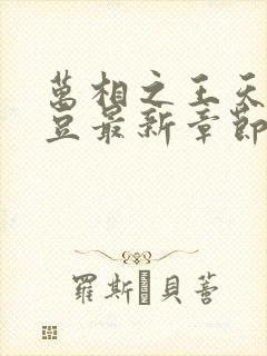 万相之王天蚕土豆最新章节阅读