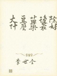 大豆苗后除草剂什么药最好