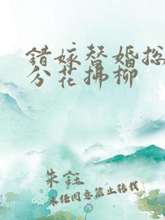 错嫁替婚总裁 分花拂柳